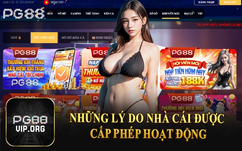 Những Lý Do Nhà Cái Được Cấp Phép Hoạt Động