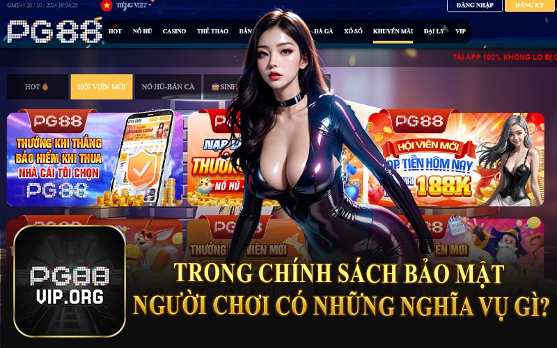 Trong Chính Sách Bảo Mật Người Chơi Có Những Nghĩa Vụ Gì?