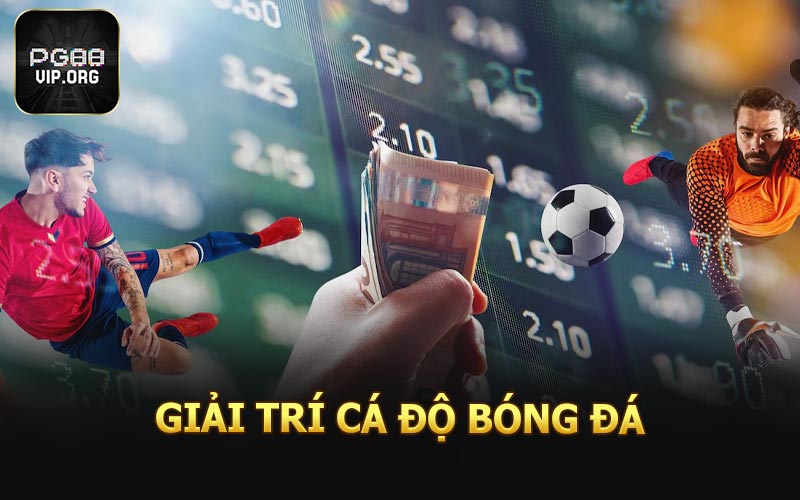Giải trí cá độ bóng đá