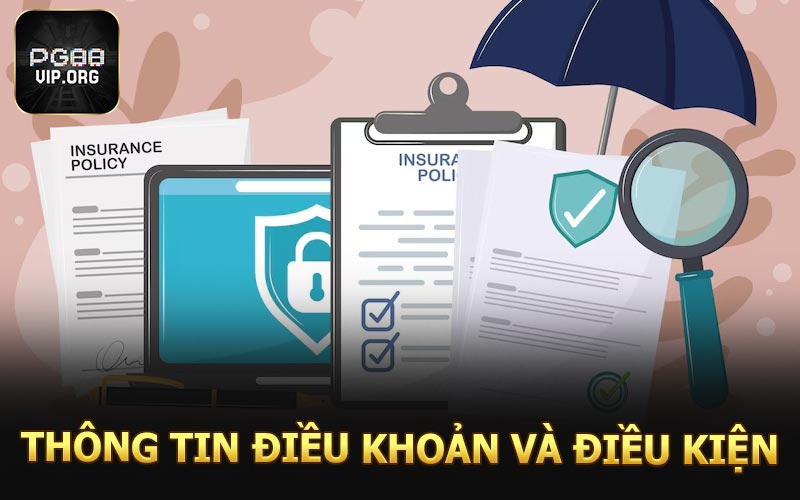 Thông tin cơ bản về điều khoản và điều kiện